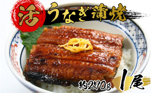 Y Ȃ L 270g 1 1`2lOstAOɂЂƂЂƂĂIt [B-044001]䌧i13000ECYȂ