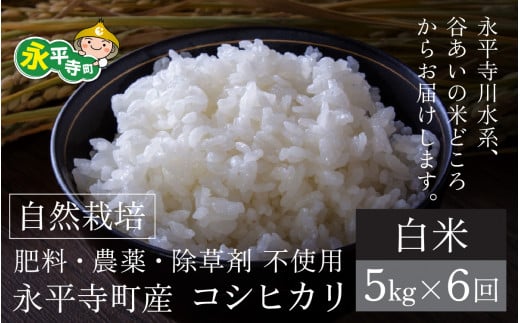 【先行予約】【令和7年産 新米】【6ヶ月連続お届け】自然栽培米 永平寺町産 コシヒカリ 【白米】5kgx6ヶ月(計30kg)【11月上旬順次配送予定】無農薬 化学肥料  除草剤 不使用 福井県 永平