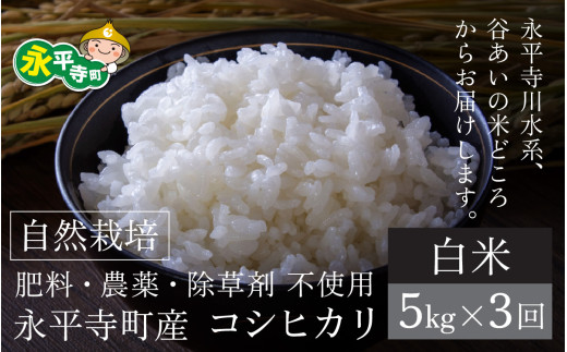 【先行予約】【令和7年産 新米】【3ヶ月連続お届け】自然栽培のコシヒカリ 永平寺町市野々産【白米】5kgx3ヶ月(計15kg)【11月上旬順次配送予定】無農薬 化学肥料  除草剤 不使用 福井県