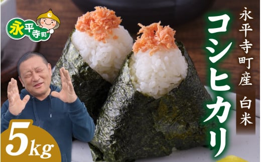 【先行予約】永平寺町飯島産 コシヒカリ  【白米】5kg / ふるさと納税 米 5kg こしひかり 5キロ 福井県 永平寺町 の おいしい お米 発祥の地 こめ おこめ 白米 精米 国産 限定 ごはん ご飯 白