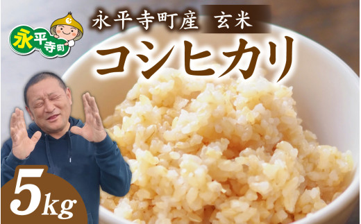 【先行予約】永平寺町飯島産 コシヒカリ【玄米】5kg /ふるさと納税 米 5kg こしひかり 5キロ 福井県 永平寺町 の おいしい お米 発祥の地 こめ おこめ 白米 精米 国産 限定 ごはん ご飯 白飯