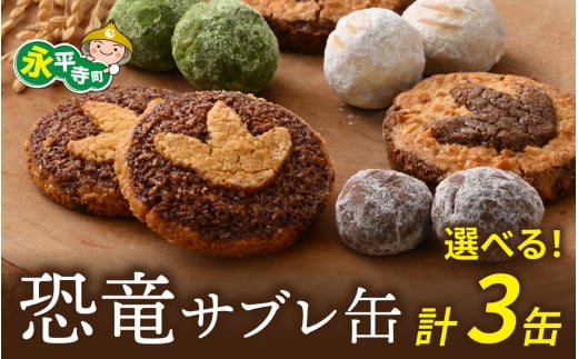 恐竜サブレ缶 (大) 2種類各1個 + (小) 4種類から選べる1個  計3缶 /  恐竜 サブレ お菓子 クッキー 米粉 おかし 洋菓子 詰め合わせ デザート 人気 おすすめ 永平寺 福井 福井県 坐禅 恐竜 北陸 [C