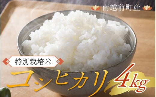 ys\zߘa7NxY V ʍ͔| RVqJ 4kgy11{菇z䌧zO13000āEp
