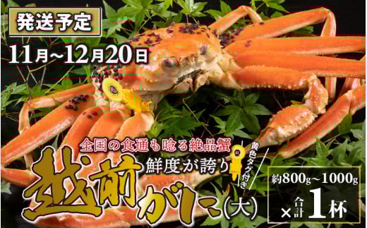 ys\zzO  i800g`1000gj 1ty2025N11{菇z YCKj 킢 YCI zOKj {C hg I  Ԃ ①  Jj  ~ CN  Y 