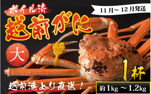 ys\zzO`蒼I zO  (1kg`1.2kg) 1tOɍݑmF̓dbA܂!y11`12\z YCKj 킢 YCI zOKj {C hg I