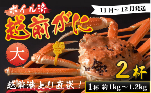 【先行予約】越前港より直送! 越前がに 大 (約1kg〜1.2kg) 2杯  ※発送前に在宅確認の電話連絡をいたします!【11月〜12月発送予定】 ズワイガニ ずわいがに ズワイ蟹 越前ガニ ボイル 刺身 蟹