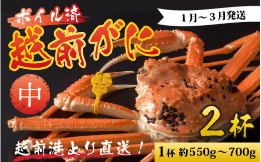 【先行予約】越前港より直送! 越前がに 中 (約550g〜700g) 2杯※発送前に在宅確認の電話連絡をいたします! 【1月〜3月発送予定】 ズワイガニ ずわいがに ズワイ蟹 越前ガニ ボイル 刺身 蟹 鍋