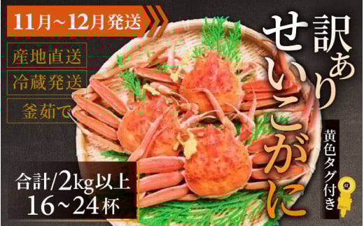 【先行予約】【訳あり】 せいこがに 合計2kg以上(16〜24杯)【11月〜12月発送】福井県南越前町80000魚介・海産物カニ