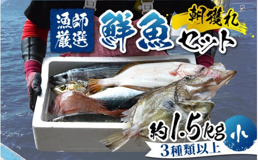 【朝獲り】漁師厳選 鮮魚セット (小) 3種類以上 約1.5kg 魚 詰め合わせ  鮮魚ボックス  直送  鮮魚 新鮮 煮物 焼き物 お造り 刺身 晩酌 食卓 BBQ 急速冷凍 真空パック 鮮魚セット 詰合せ 鮮魚店
