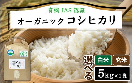 ys\zy ߘa7NY@V z L@JASF I[KjbN RVqJ  5kg×1܁iv5kgjy2025N11{珇z䌧zO24000āEp