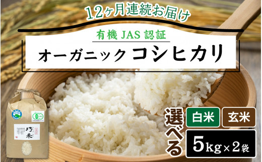 ys\zy12A͂zy ߘa7NY V z L@JASF I[KjbNRVqJ  5kg×2×12iv120kgjy2025N11蔭Jnzb Ă̒֕䌧zO576000