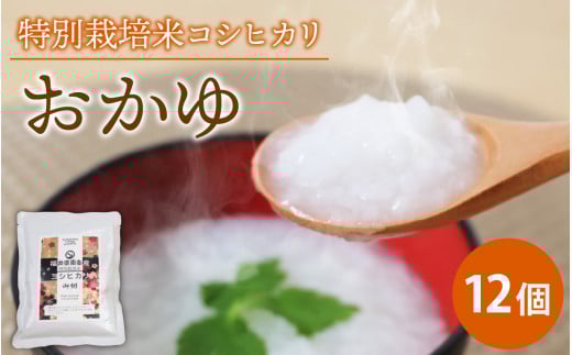 南条産コシヒカリで作ったおかゆ 12個| 非常食 防災 防災グッズ 国産 米 福井県産 コシヒカリ レトルト おかゆ 南越前町 食品 福井県南越前町12000米・パン白米