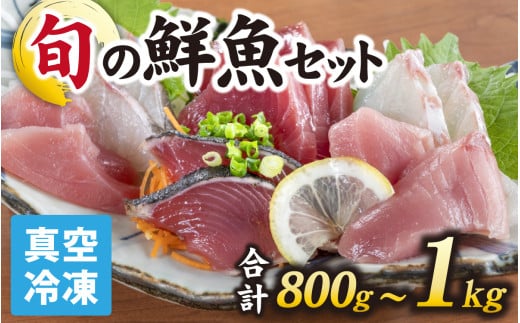 y{CNztIN^ⓀZbg 800g`1.0kg(3ȏ)   N{bNX    N |  lߍ킹 VN ϕ Ă  hg ӎ H BBQ }Ⓚ ^pbN NZbg l