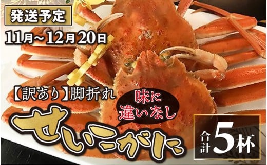 【先行予約】【訳あり】せいこがに 5杯  脚折れ【2025年11月中旬より順次発送】セイコガニ せいこ蟹 セコガニ 雌 ずわいがに せいこがに 訳あり 脚折れ 味に違いなし かにみそ カニ味噌 越前