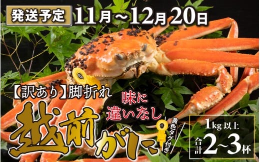 【先行予約】【訳あり】越前がに 2〜3杯 (合計1kg以上) 脚折れ【11月〜12月20日発送予定】 ズワイガニ ずわいがに ズワイ蟹 越前ガニ 訳あり 脚折れ 味に違いなし ボイル 刺身 蟹 鍋 しゃぶ