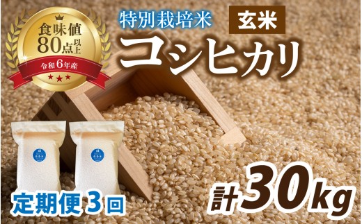 【3ヶ月連続お届け】【 令和7年産 新米 】南条米 新米 特別栽培米コシヒカリ 真空パック 玄米 10kg(5kg×2袋)×3ヶ月 (計30kg)| お米の定期便福井県南越前町90000米・パン白米