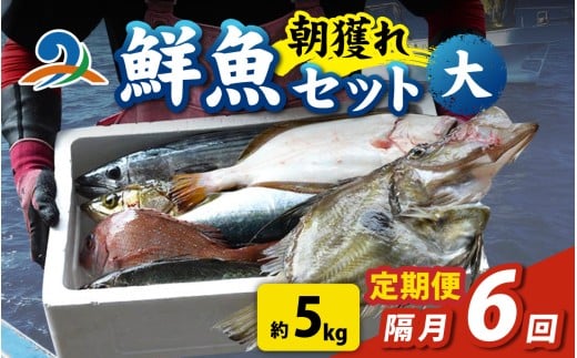 【定期便 隔月6回】【朝獲り】漁師厳選 鮮魚セット (大) 5種類以上 約5kg 魚 詰め合わせ  鮮魚ボックス 頒布会 直送  鮮魚 新鮮 煮物 焼き物 お造り 刺身 晩酌 食卓 BBQ 急速冷凍 真空パック