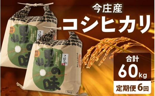 【先行予約】【6ヶ月連続お届け】【 令和7年産 新米 】朝夕の寒暖差が生む極旨のお米 今庄産 コシヒカリ 10kg(5kg×2) 【11月より順次発送予定】 こしひかり 福井 北陸 おこめ福井県南越前町192