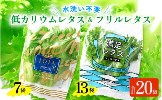 【福井県美浜町産】低カリウムレタス&フリルレタス 計20個セット【野菜 生野菜 レタス サラダ サンドイッチ お弁当 水耕栽培 洗わず食べられる 時短 付け合わせ ダイエット ヘルシー】[m40