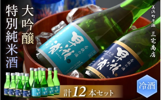 【早瀬浦】大吟醸冷用酒 180ml × 6本 & 特別純米冷用酒 300ml × 6本 セット【飲み比べ 日本酒 地酒 福井 美浜 早瀬 フルーティ 男酒 硬水 ミネラル 希少 ご褒美 家飲み 就職祝い 転職祝い ハレ