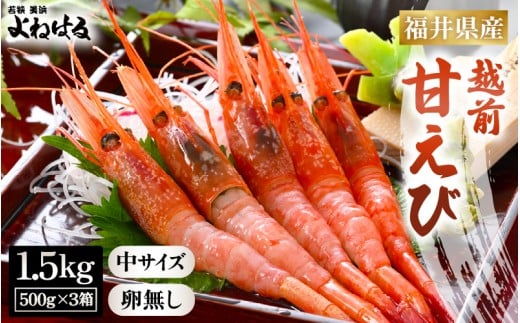 大好評!天然 越前甘エビ(卵なし)中サイズ 計約1.5kg(約500g × 3箱)(合計約105尾入り) 解凍方法説明書付き 船内凍結 酸化防止剤不使用! 甘エビ本来の味をお楽しみください 【えび エ
