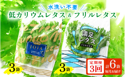 定期便 ≪3ヶ月連続お届け≫ 低カリウムレタス&フリルレタス 計6個セット 全3回 【福井県美浜町産】【野菜 生野菜 レタス サラダ サンドイッチ お弁当 水耕栽培 洗わず食べられる 時短 付