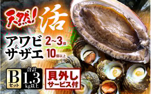 ys\zyԌzVRIAr  TUG ZbgB(Ark͂T[rXt)y2025N11{ȍ~\zy荢 Yn hg   o^[Ă BBQ 