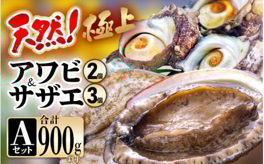 【先行予約】【期間限定】天然!極上 アワビ & サザエ セットA【2025年11月下旬以降順次発送予定】【入手困難 産地直送 刺身 お造り おせち バター焼き BBQ あわび 鮑 サザエ さざえ 貝 砂抜