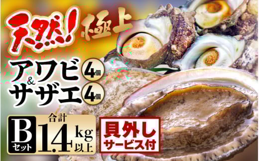 【先行予約】【期間限定】天然!極上 アワビ & サザエ セットB(貝はずしサービス)【2025年11月下旬以降順次発送予定】【入手困難 産地直送 刺身 お造り おせち バター焼き BBQ あわび 鮑 サ