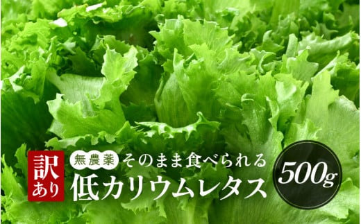 y󂠂zJE^X 500g s N[[͔| Nx y  ^X T_ k͔| 킸Hׂ Z t킹 KiOz[m40-a013]䌧l8000؁E