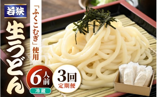 定期便 ≪3ヶ月連続お届け≫ 福井県産「ふく小麦」使用 若狭 生うどん 900g(150g × 6玉)もっちり コシ のど越しツルツル 手打ち 生麺 麺類 釜揚げ 簡単調理 美味しいうどん 敬老の日 離乳食