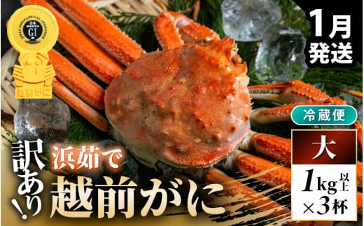 ys\zy①zzO 󂠂 ܂  1.0kgȏi䥂őOj×3ty2026N1{ȍ~\z [m21-x008_01]䌧l300000ECYJj