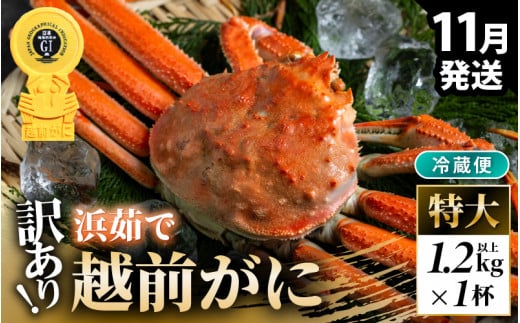 ys\zy①zzO 󂠂 ܂  1t 1.2kgȏi䥂őOjy2025N11{ȍ~\z [m21-x007_11]䌧l300000ECYJj