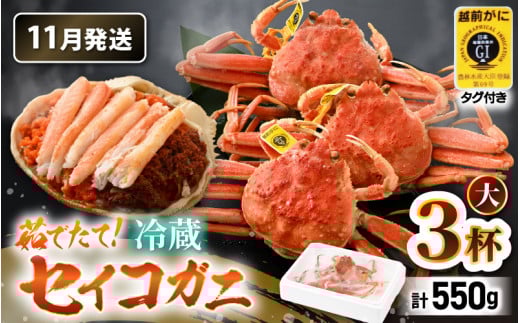 ys\zy①z{̃ZCRKj  3t  v550gȏi䥂őOj ty2025N11{ȍ~\zHאؐʁISĒnIVRI YCKjX [m21-x004_11]䌧l36000