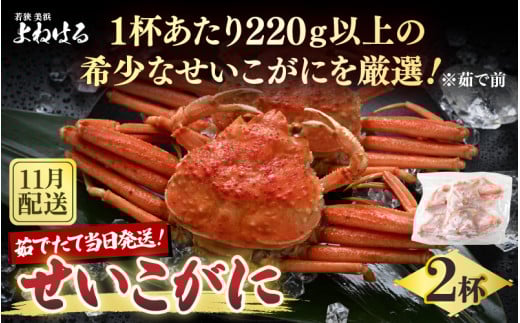 ys\zVR  × 2t 󏭂220gȏ̃TCYII 䥂ł̓ɔIy2025N11{ȍ~\z [m17-x005_11]䌧l42000ECYJj