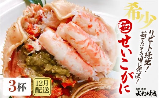 ys\zVR  × 3t (1t190g) 䥂ł̓ɔI y2025N12{ȍ~\z [m17-x006_12]䌧l58000ECYJj