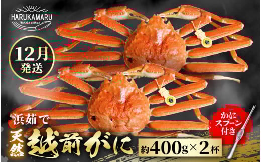 ys\zl䥂Ł nIVRI͂邩یIIzO 400g × 2t y2025N12{ȍ~\zlꂽāI䥂łĂ͂܂I[m36-x001_12]䌧l72000ECY