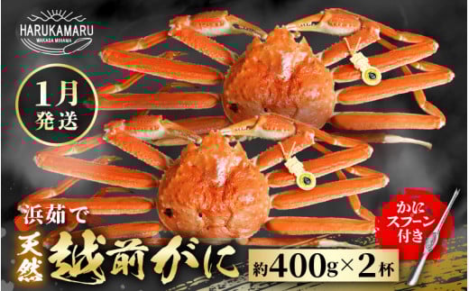 ys\zl䥂Ł nIVRI͂邩یIIzO 400g × 2t y2026N1{ȍ~\zlꂽāI䥂łĂ͂܂I[m36-x001_01]䌧l65000ECY