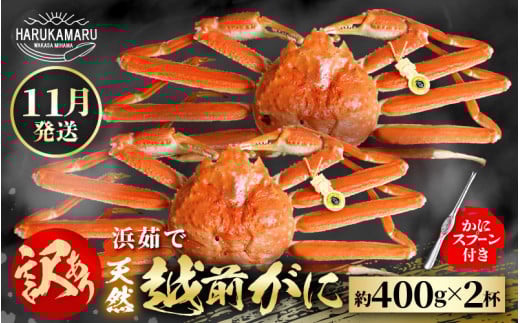 ys\zl䥂Ł nIVRI͂邩یIIh󂠂hzO 400g × 2ty2025N11{ȍ~\zlꂽāI䥂łĂ͂܂I[m36-x002_11]䌧l60000