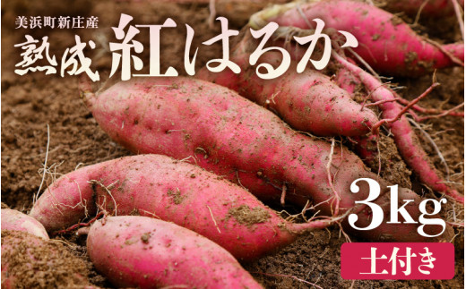 J̏n܂ (3kg yt) 15{y荢EʌzyTc}C  C g͂邩 ׂɂ͂邩 n Â  Ă Y Ynz [m23-a018]䌧l7500؁E