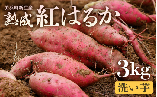 J̏n܂ (3kg 􂢈) 15{y荢EʌzyTc}C  C g͂邩 ׂɂ͂邩 n Â  Ă Y Ynz [m23-a019]䌧l8500؁E