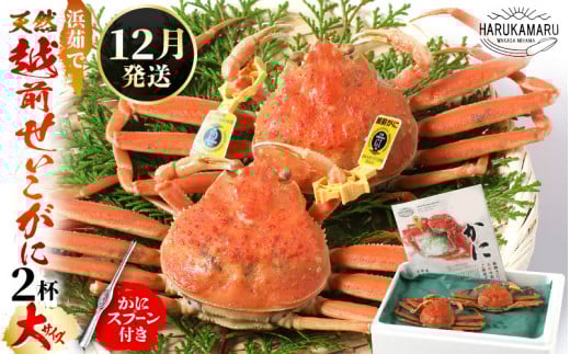 ys\zl䥂Ł VRIzO  TCY× 2t (̏Ԃ1t200gȏ) y2025N12{ȍ~\zɃXv[tI ͂邩یIIlꂽāI䥂łāIVNI