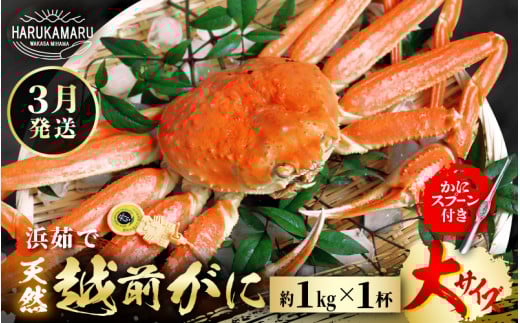 ys\zl䥂Ł nIVRIzO TCYi1kgj × 1ty2026N3{ȍ~\zɃXv[t  ͂邩یIIlꂽāI䥂łĂ͂܂Iy① {