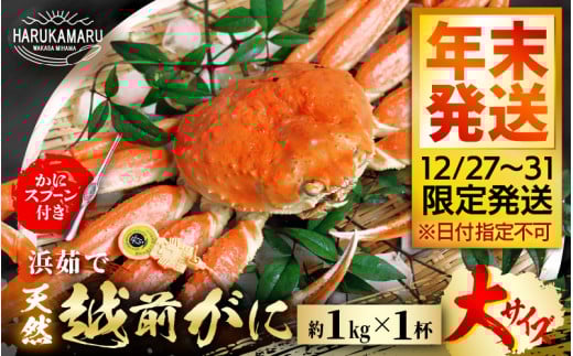 【先行予約】≪浜茹で≫ 地物!天然!越前がに 大サイズ(約1kg) × 1杯【年末発送12/27〜12/31限定発送!】かにスプーン付きはるか丸厳選!獲れたて!茹でたてをお届けします!【冷蔵 本場