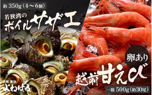 ዷfVR TUG ({C) zOÂїTCY yⓀ {C TUG Â ዷp z[m17-a064]䌧l19000ECYL