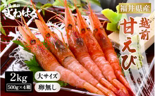 大好評! 天然 越前甘えび(卵なし)大サイズ計2kg(500g × 4箱)(合計約120尾入り)解凍方法説明書付き 船内凍結 酸化防止剤不使用! 甘えび本来の味をお楽しみください 【えび エビ 海老