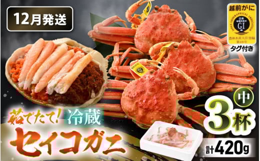 ys\zy①z{̃ZCRKj  3t  v420gȏi䥂őOjty2025N12{ȍ~\zHאؐʁISĒnIVRI YCKjX[m21-x002_12]䌧l15000