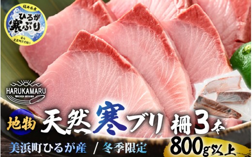 【先行予約】天然!地物!ひるがの寒ぶり 柵3本【合計800g以上】【2025年12月中旬以降順次発送予定】【ブランド 寒ブリ 寒鰤 かんぶり ぶり ブリ 鰤 ブリトロ ぶりとろ 新鮮 生食 刺身 海鮮丼