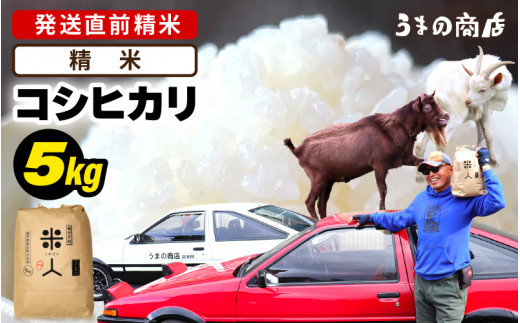 ys\zyߘa7NYEVāz RVqJ 5kgyāzy2025N9{ȍ~\z [m25-a005_01]䌧l13000āEp