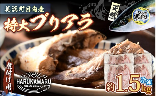 ys\zVR Ԃ  uAiϕtpjv 1.5kg lYy2025N12{ȍ~\zyԂ؂ ؐg Ă t u卪 ϕ Az [m36-a033]䌧l450